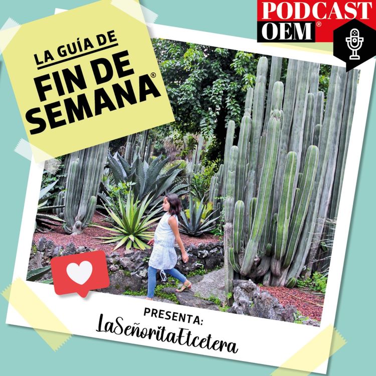 cover art for Polinizadores y la importancia de un jardín botánico en la CDMX