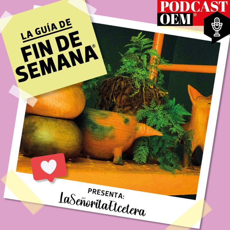 cover art for Lo que necesitas es un Festival de Macetas