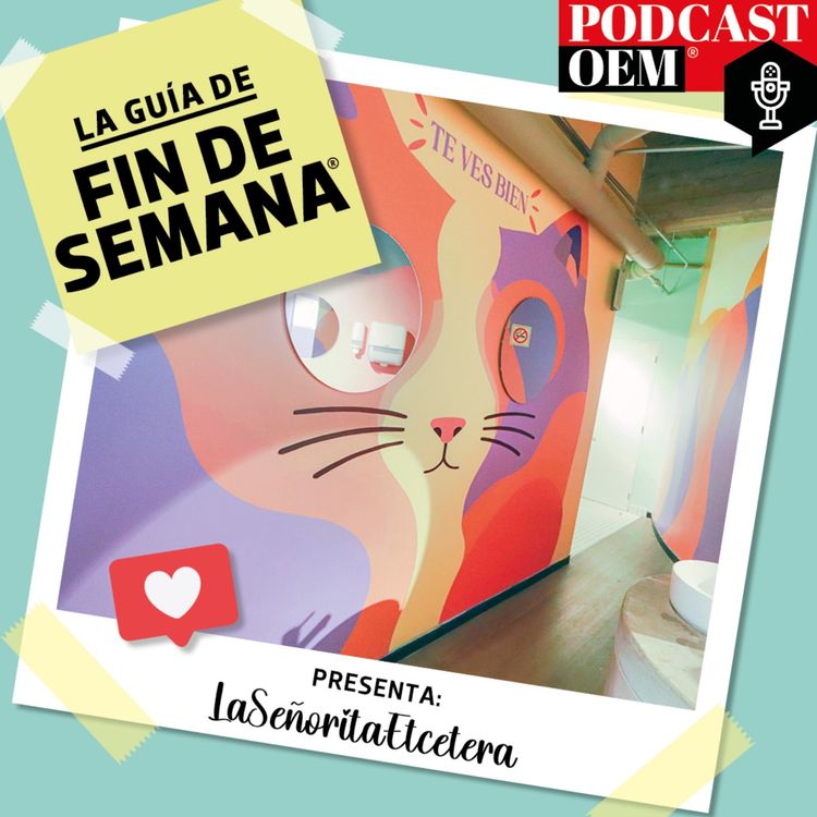 cover art for La historia detrás del nuevo Museo del Gato en México