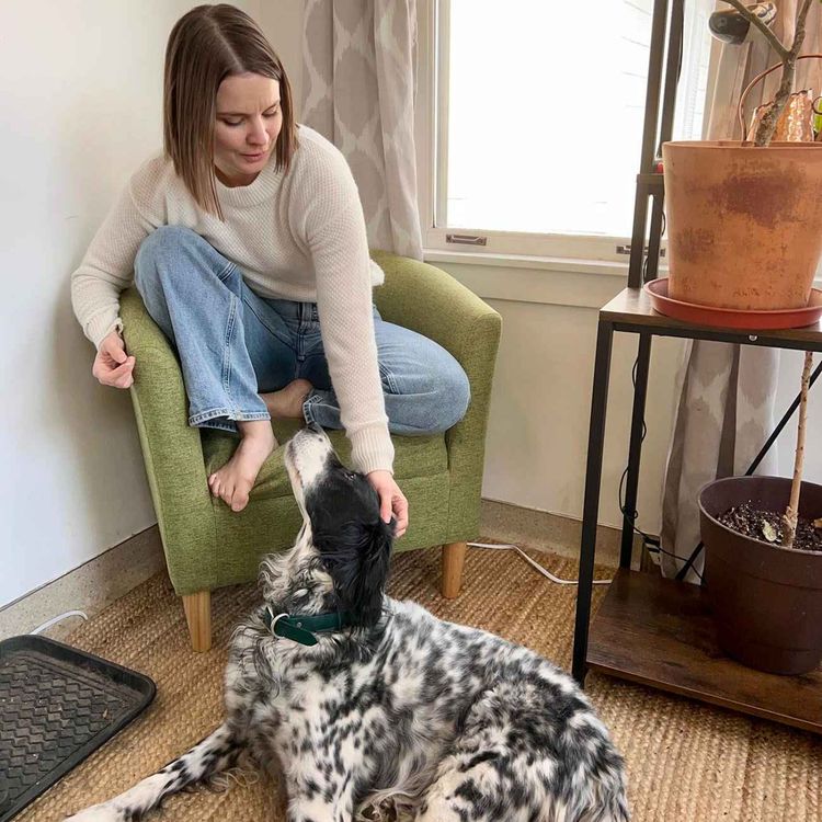 cover art for The Healing Power of Dogs with Erin Jorich