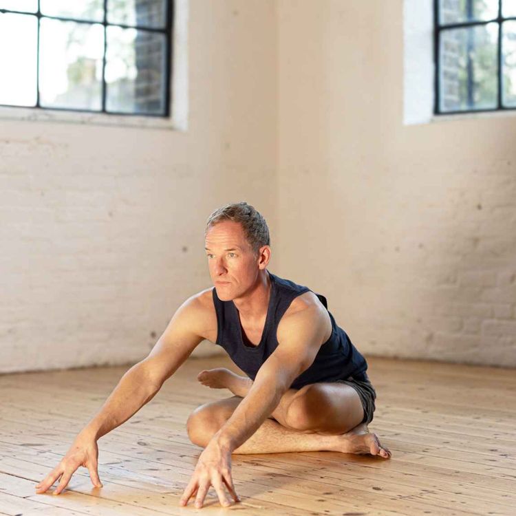 cover art for Stillness or Stimulation: The Radical Differences Between Hatha Yoga & Patanjali's Breathwork