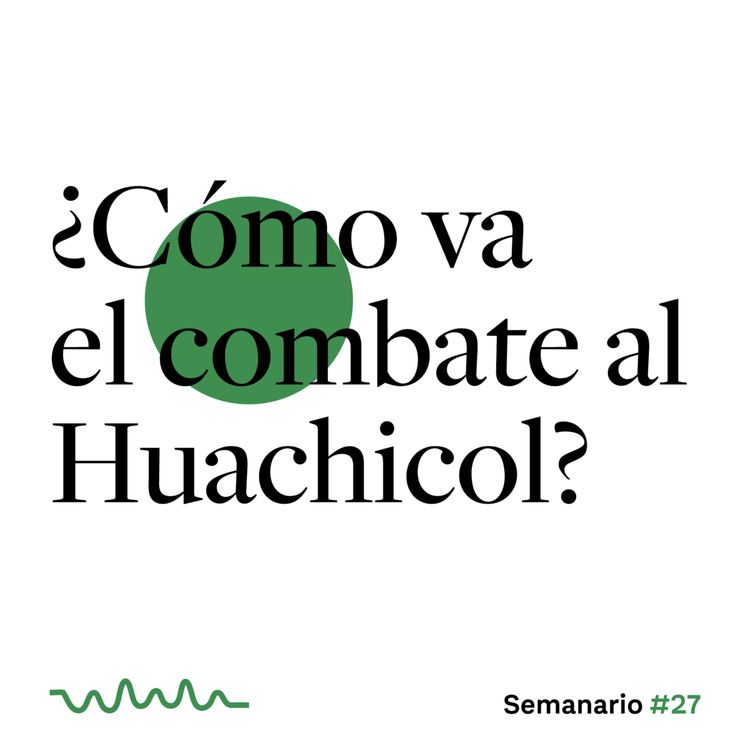 cover art for ¿Cómo va el combate al Huachicol?