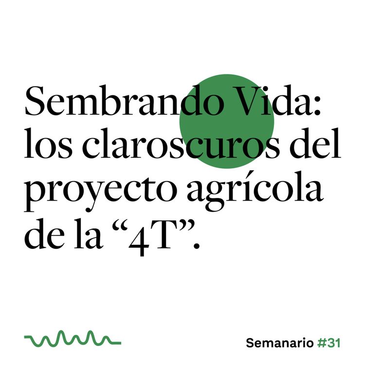 cover art for Sembrando Vida: los claroscuros del proyecto agrícola de la "4T".