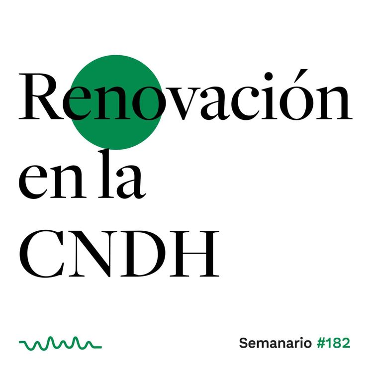 cover art for Renovación en la CNDH