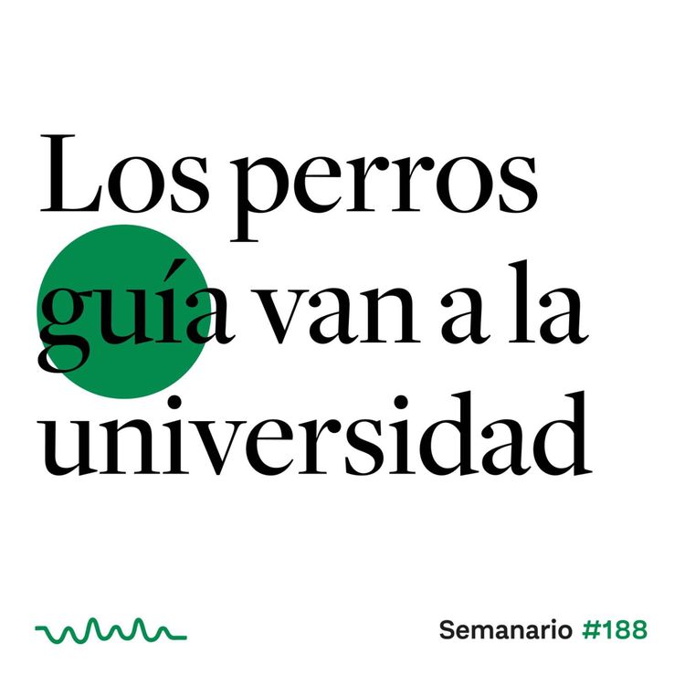 cover art for Los perros guía van a la universidad 