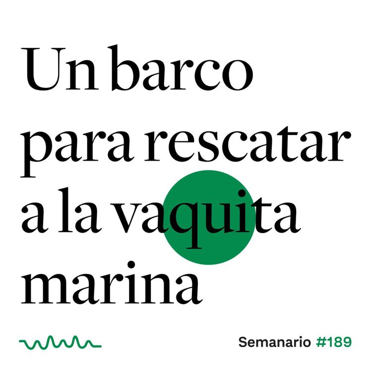 cover art for Un barco para rescatar a la vaquita marina