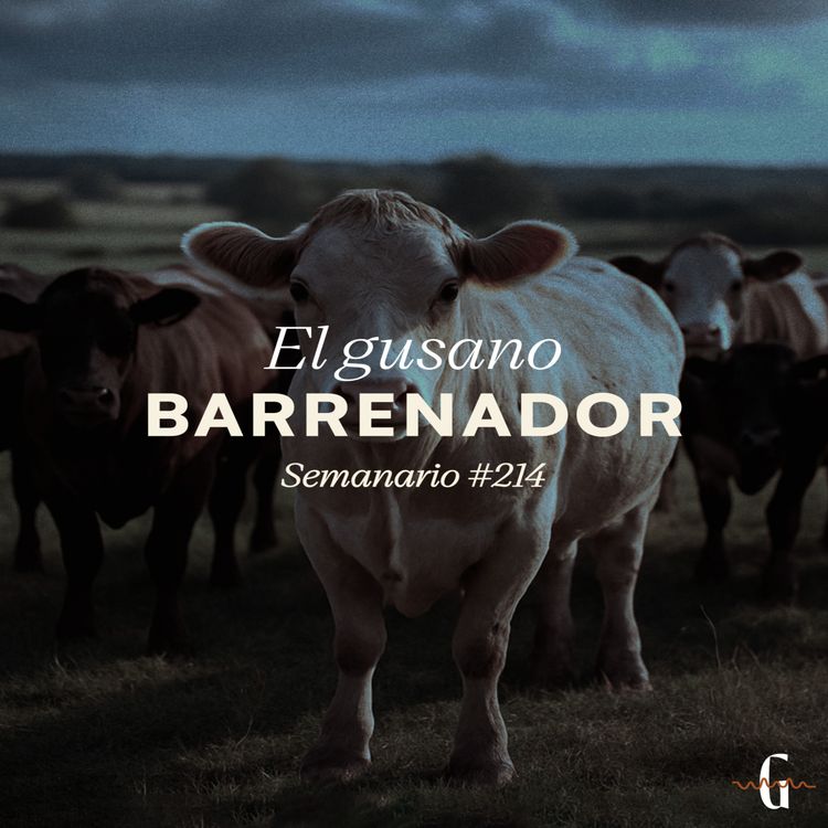cover art for El gusano barrenador