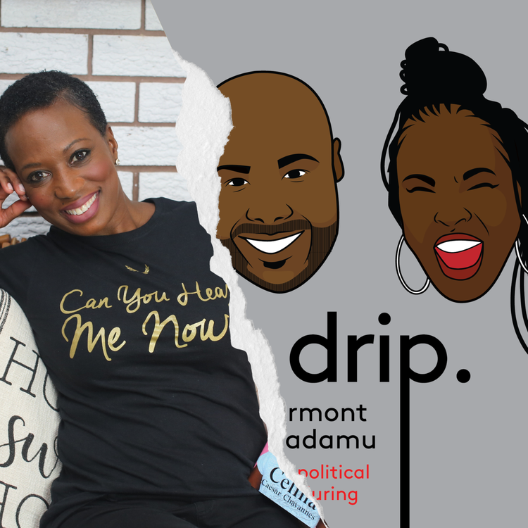 cover art for Episode 51 - Interview with Former MP Celina Caesar-Chavannes