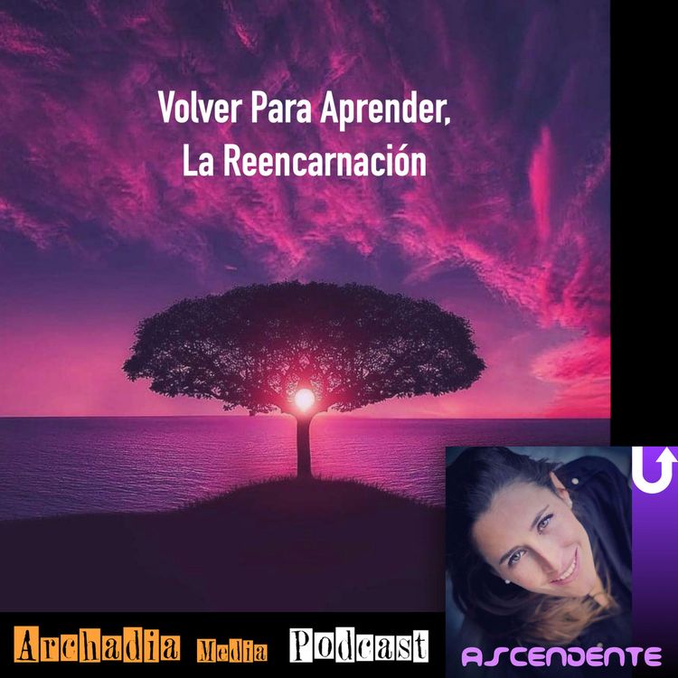 cover art for 06 | Volver Para Aprender, La Reencarnación