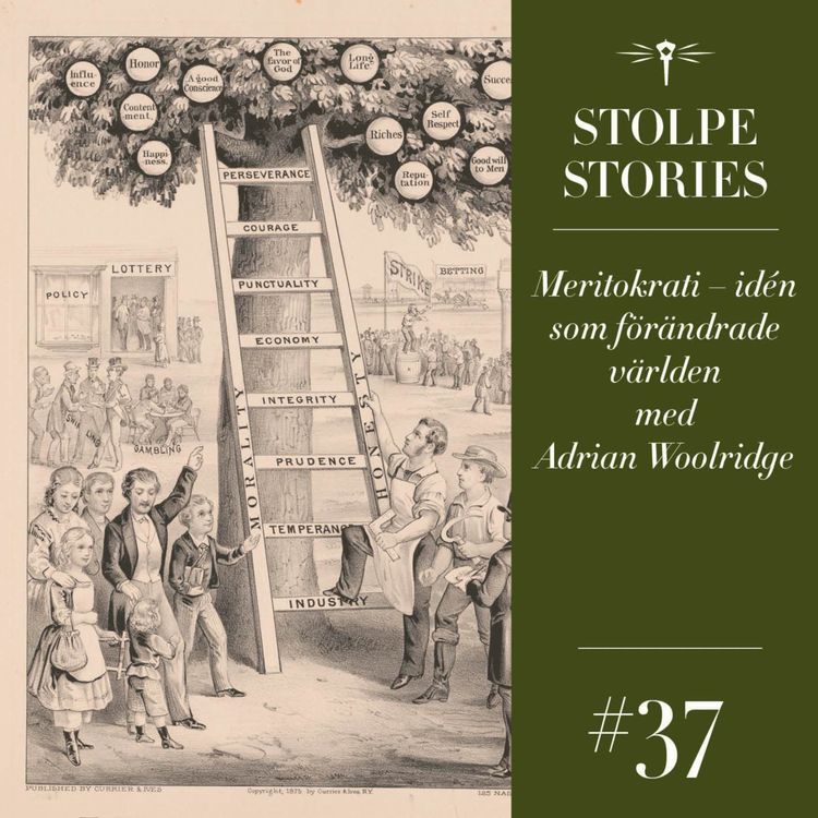 cover art for Meritokrati – idén som förändrade världen med Adrian Woolridge