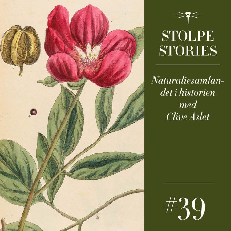 cover art for 39.  Naturaliesamlandet i historien med Clive Aslet