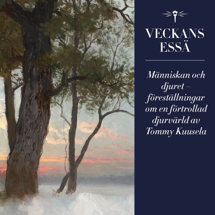 cover art for Veckans essä: "Människan och djuret" – föreställningar om en förtrollad djurvärld av Tommy Kuusela
