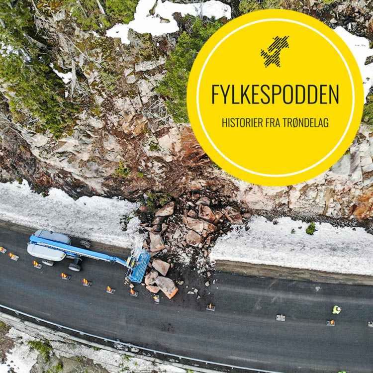 cover art for Effektiv luftstøtte 