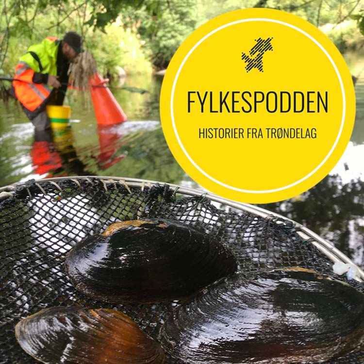 cover art for Verdens viktigste flyttejobb