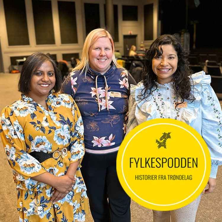 cover art for Disse skaper mangfold