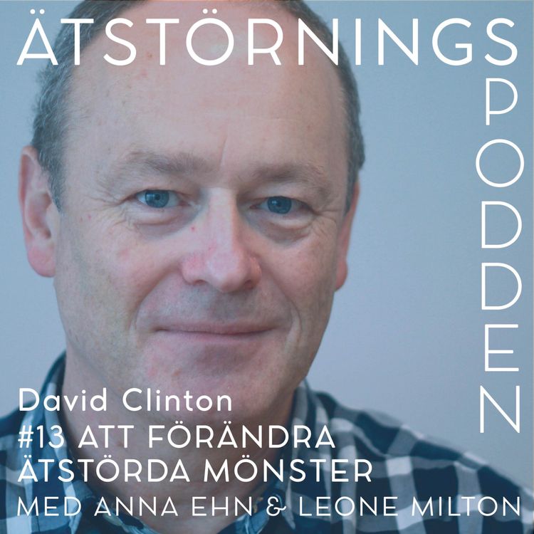 cover art for Att förändra ätstörda mönster