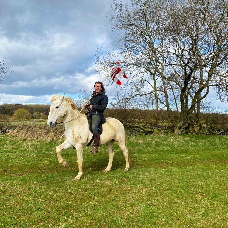 cover art for How big were mediaeval warhorses?