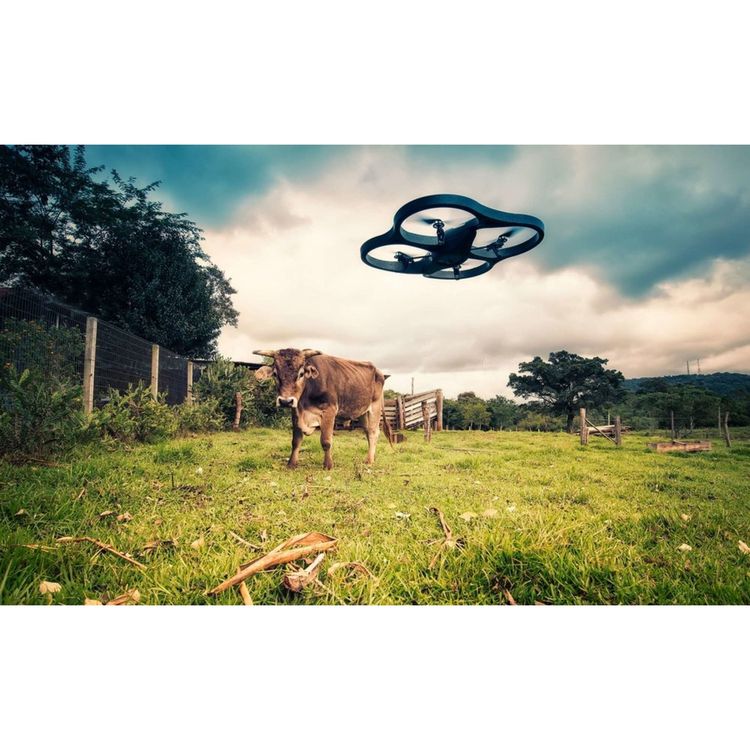 cover art for 224 UAV Forecast App