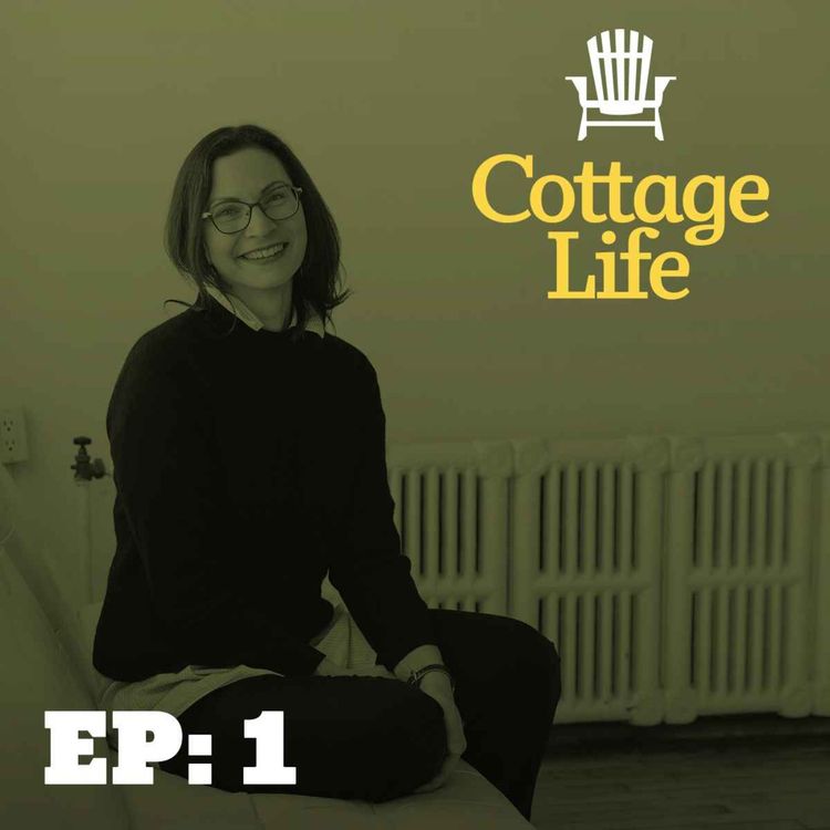 cover art for Get lost and found