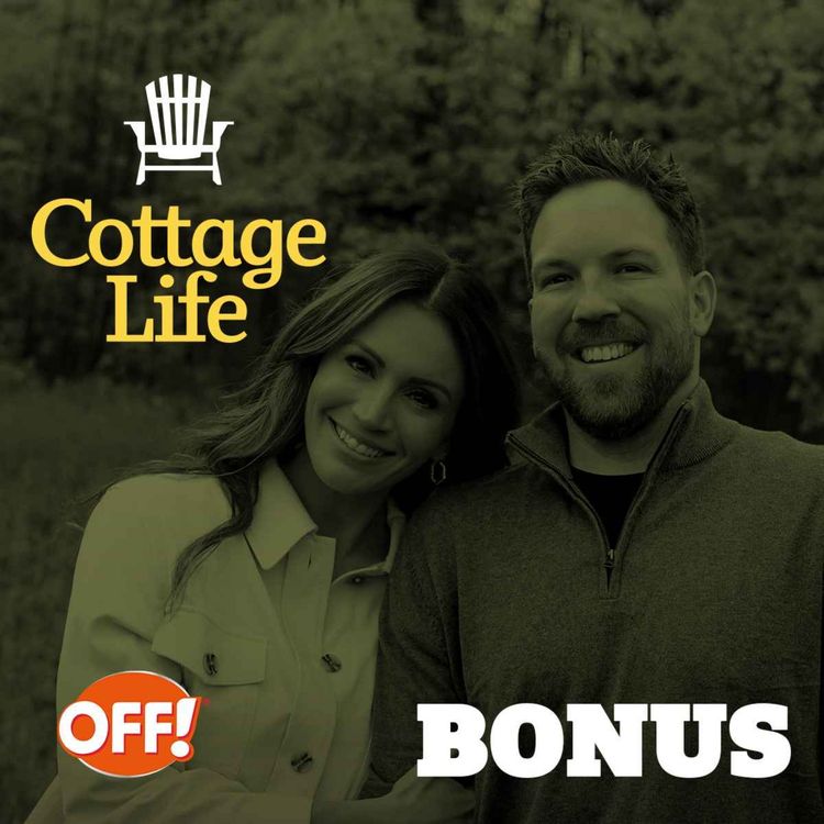 cover art for All about ticks