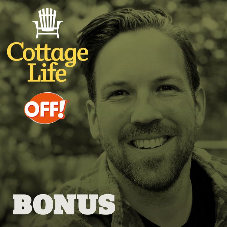 cover art for When mosquitoes attack!