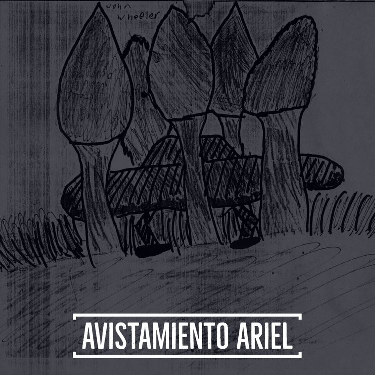 cover art for #119 Avistamiento de la Escuela Ariel
