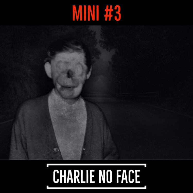 cover art for Mini #3 - Charlie No Face