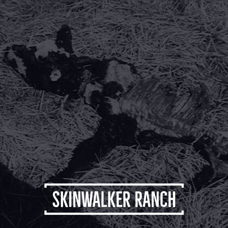 cover art for #58 Skinwalker Ranch - Parte 3, La Investigación