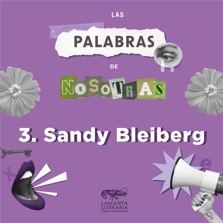 cover art for Las palabras de nosotras - Episodio 3. Sandy Bleiberg de Naranxadul