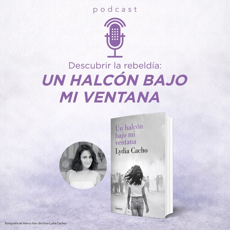 cover art for Descubrir la rebeldía: Un halcón bajo mi ventana