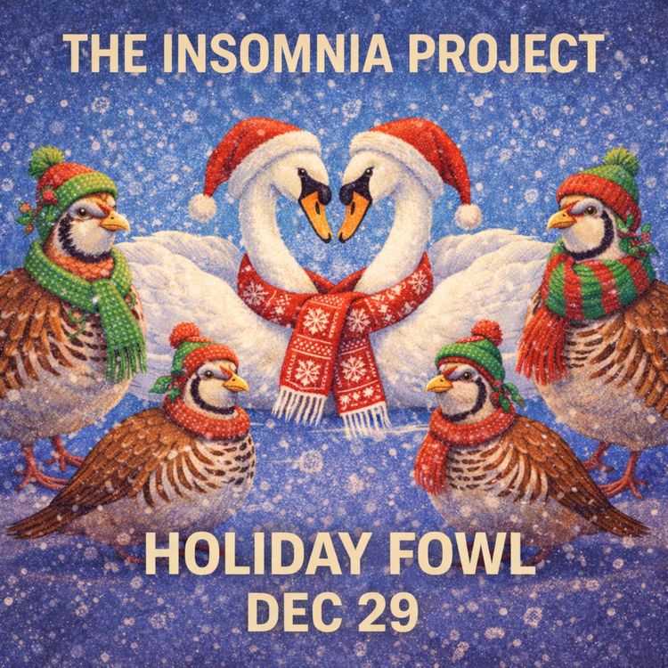 cover art for Dec 29th - Holiday Fowl