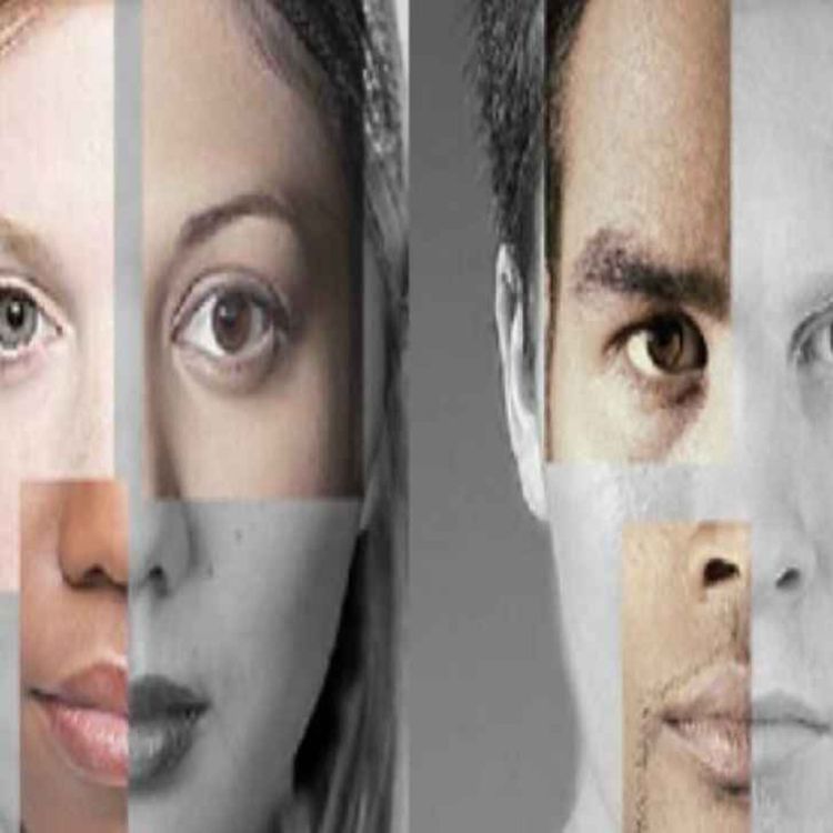 cover art for Meta-Trans: Gender, Ethnicity/Race, and Transitioning between Them