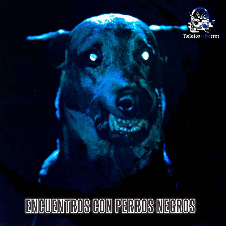 cover art for Encuentros Aterradores Con Perros Negros