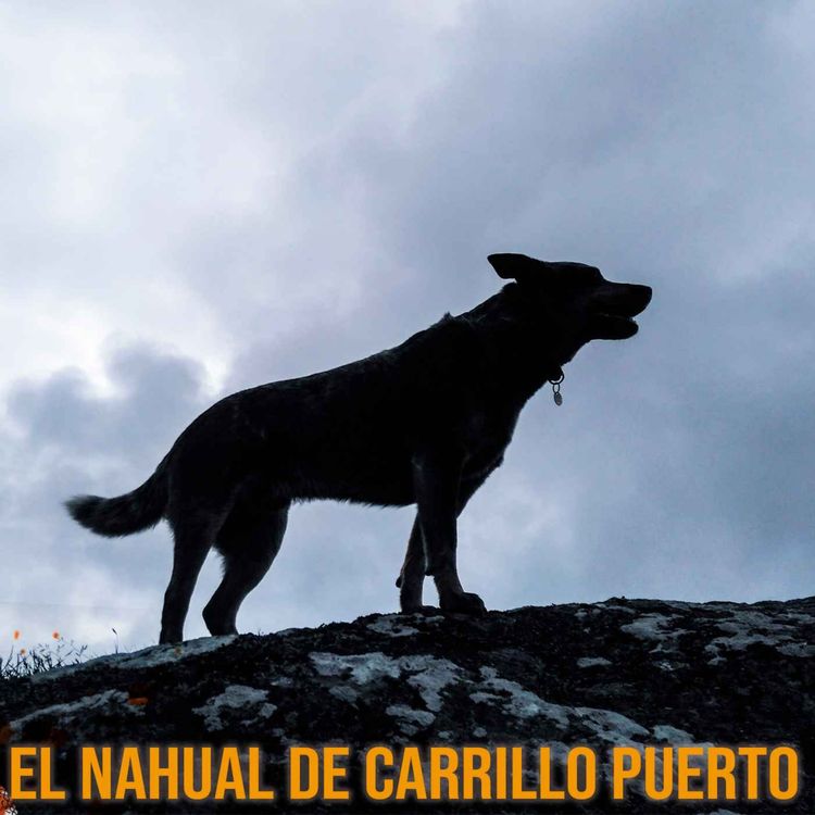 cover art for El Nahual De Carrilo Puerto (Relatos De Terror)