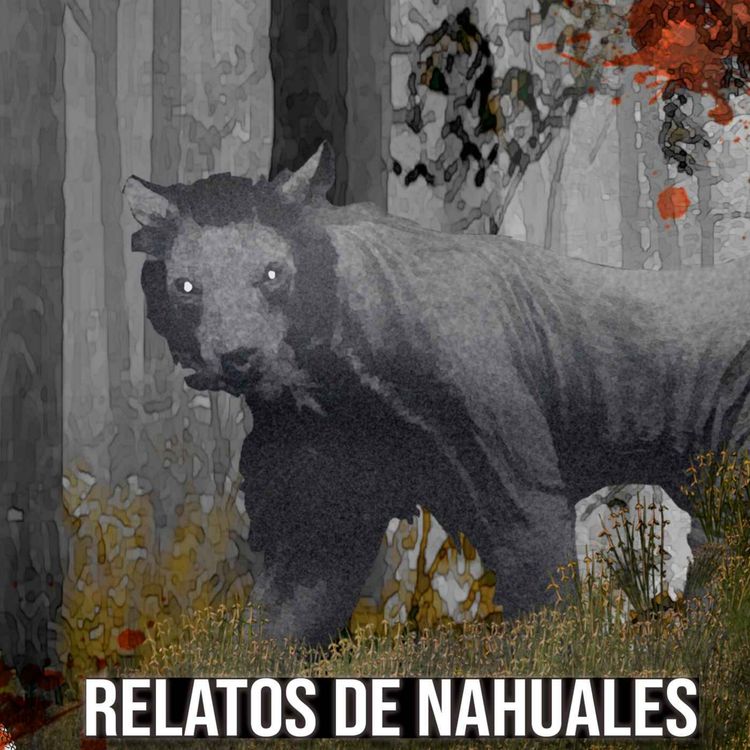 cover art for Historias De Nahuales Vol. 11 (Relatos De Horror)