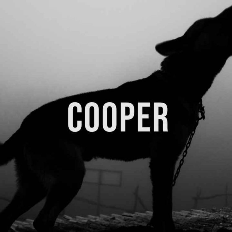 cover art for Cooper 