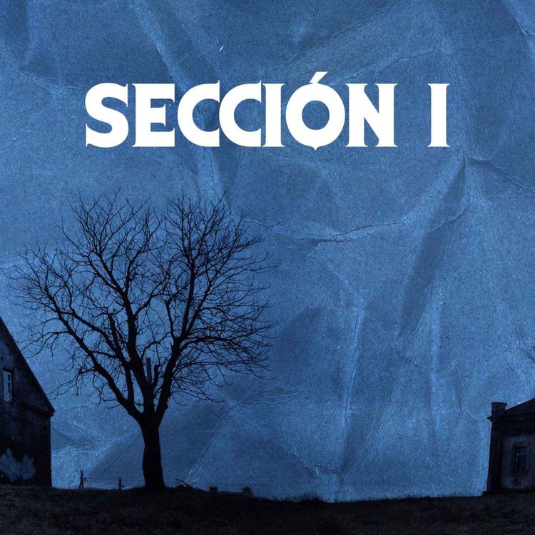 cover art for SECCIÓN 1