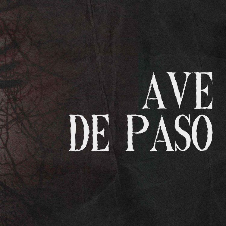 cover art for Ave De Paso