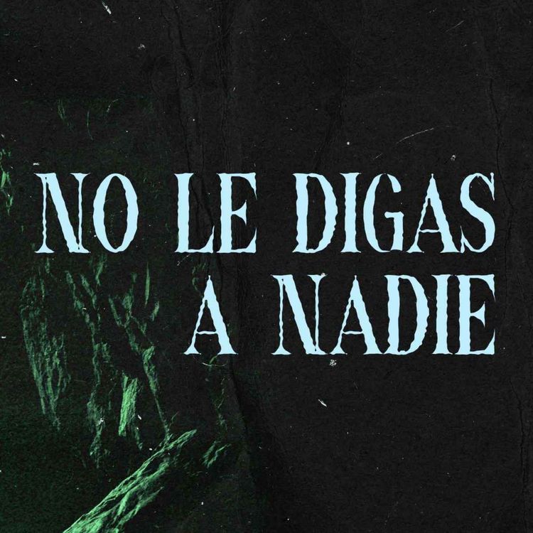 cover art for No Se Lo Digas A Nadie