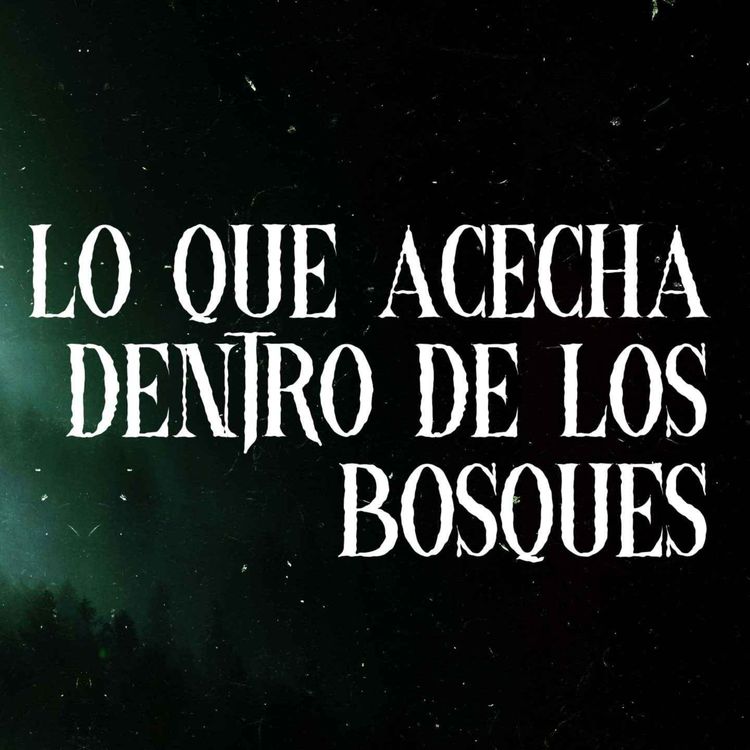 cover art for Lo Que Acecha Dentro De Los Bosques