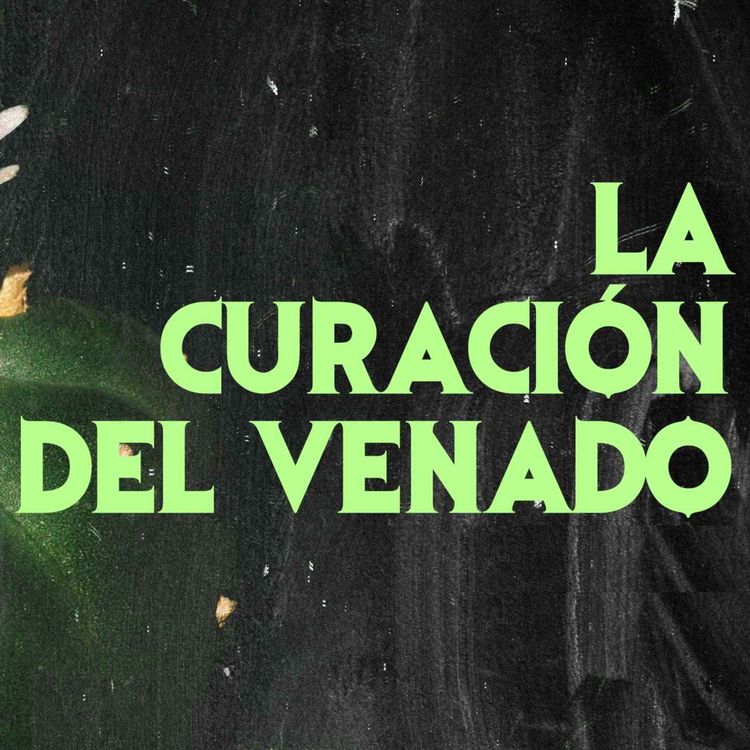 cover art for La Curación De Venado