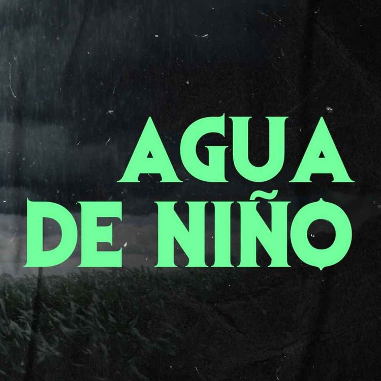 cover art for Así Se Hace El Agua De Niño