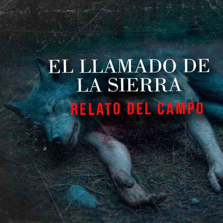 cover art for El Aullido De La Sierra (Historias De Terror)