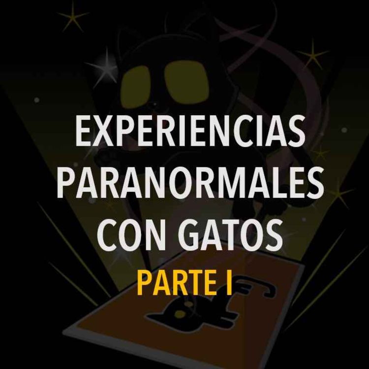 cover art for Historias Paranormales Con Gatos (Relatos De Horror)