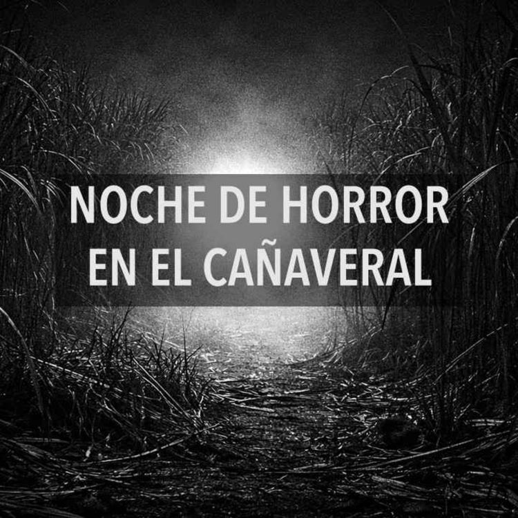 cover art for Noche De Horror En El Cañaveral