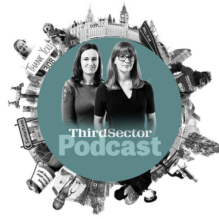 cover art for Charity consultants: sector lifeblood, luxury, or symptom of tough times?