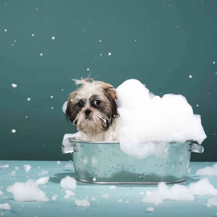 cover art for Ah ! C'qu'on est bien dans son bain !