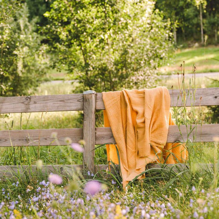 cover art for Un bel été à toutes et tous !