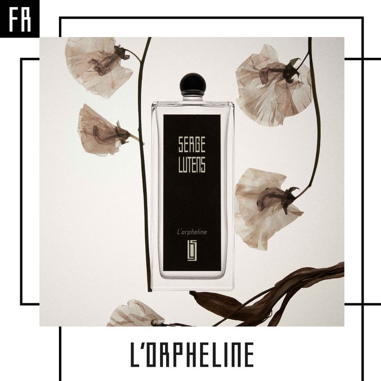 cover art for Collection noire « Les emblématiques » - L’orpheline