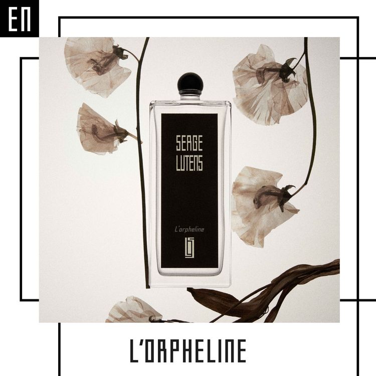 cover art for Collection noire « The emblematics » - L’orpheline